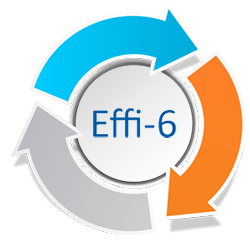 Guarantee Effi-6